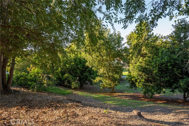 Detail Gallery Image 15 of 20 For 6012 Richfield Rd, Yorba Linda,  CA 92886 - 2 Beds | 2 Baths