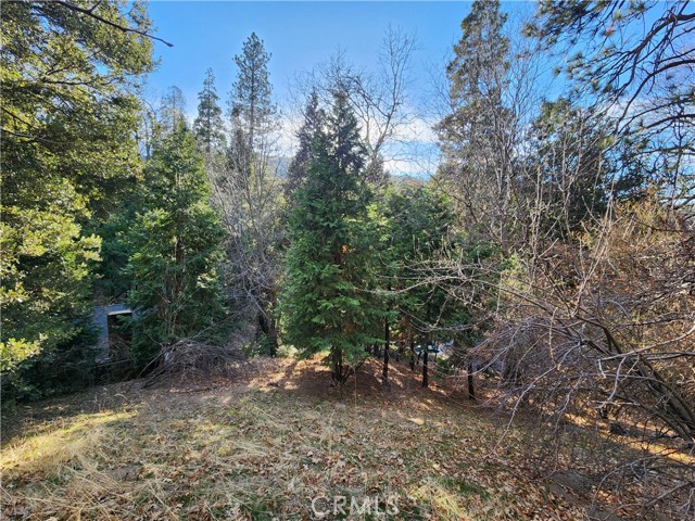 0 Basel Drive, Crestline CA: https://media.crmls.org/medias/7db5e31a-5e61-4783-8926-66c901167026.jpg