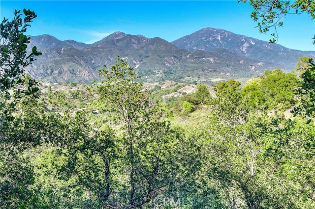 Detail Gallery Image 15 of 16 For 35 Aubrieta, Rancho Santa Margarita,  CA 92688 - 2 Beds | 2 Baths