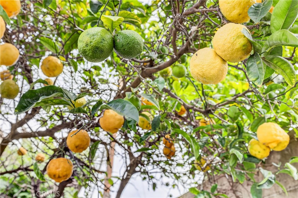 https://media.crmls.org/medias/7dc64d3b-c769-4d73-95e1-67bd11567b0c.jpg?preset=X-Large