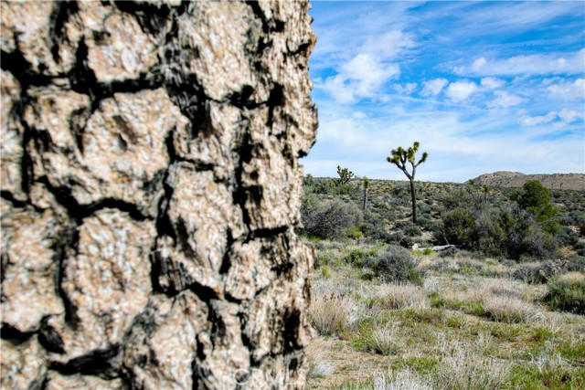 Detail Gallery Image 13 of 33 For 27 Vista Rd, Pioneertown,  CA 92356 - – Beds | – Baths