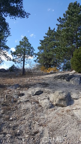 0 Ridge Dr.- Running Springs