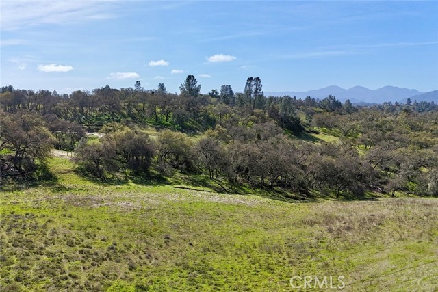 Detail Gallery Image 10 of 17 For 0 Bryson Hesperia Rd, Bradley,  CA 93426 - – Beds | – Baths