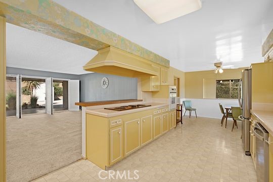 771 Brown Sage Drive photo 11