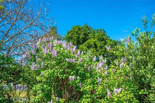 Detail Gallery Image 43 of 54 For 3956 Maricopa, Atascadero,  CA 93422 - 3 Beds | 3 Baths