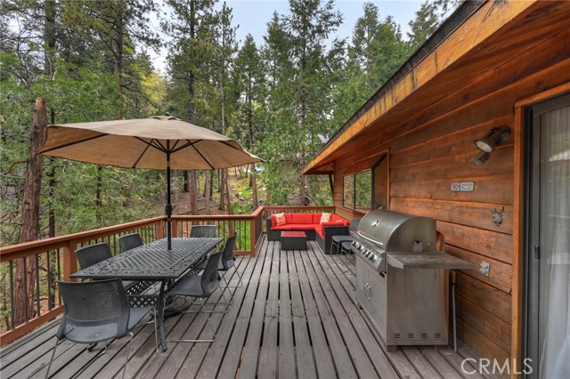 2358 Rim Of The World, Running Springs, CA 92382