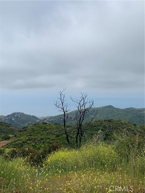 3 Mc Reynolds, Malibu, California 90265, ,Land,For Sale,3 Mc Reynolds,CRSR23202179