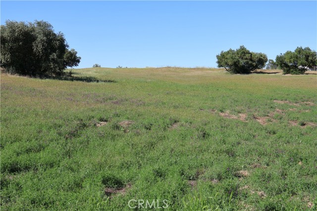 Detail Gallery Image 24 of 32 For 0 Carona Ave., Corning,  CA 96021 - – Beds | – Baths