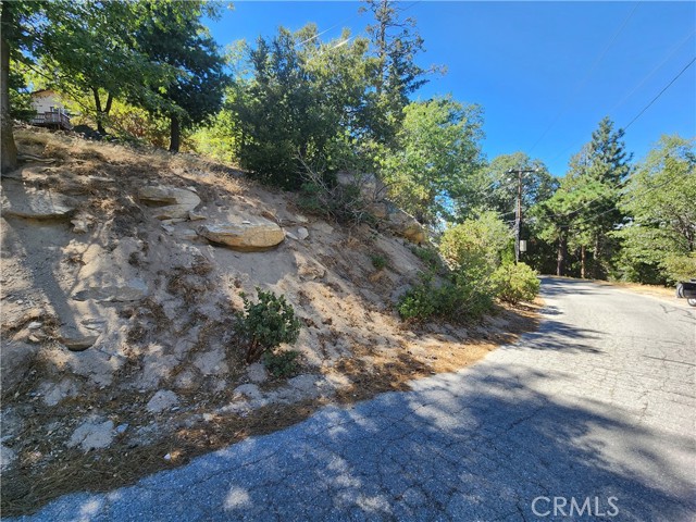 203 Canyon View Drive, Crestline, California 92325, ,Land,For Sale,203 Canyon View Drive,CRRW23202829