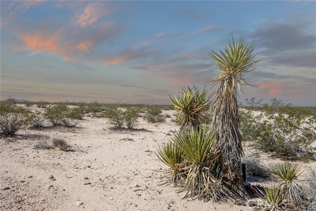 0 Brants Cross Road, Joshua Tree CA: https://media.crmls.org/medias/7dec6398-9fb5-4836-bd1a-2546b19c1b45.jpg