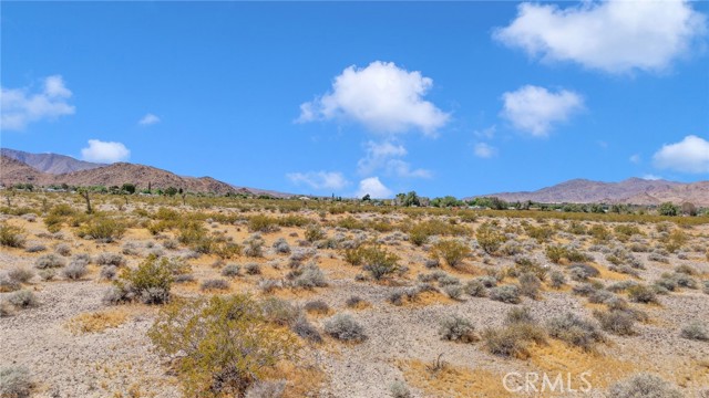 Detail Gallery Image 12 of 13 For 4501725 Crystal Creek, Lucerne Valley,  CA 92356 - – Beds | – Baths
