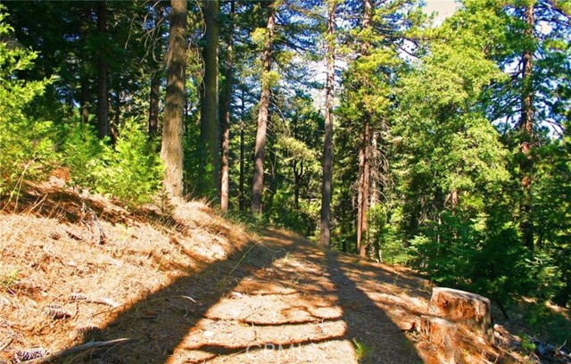 Detail Gallery Image 13 of 17 For 525 Ca-173, Lake Arrowhead,  CA 92352 - – Beds | – Baths