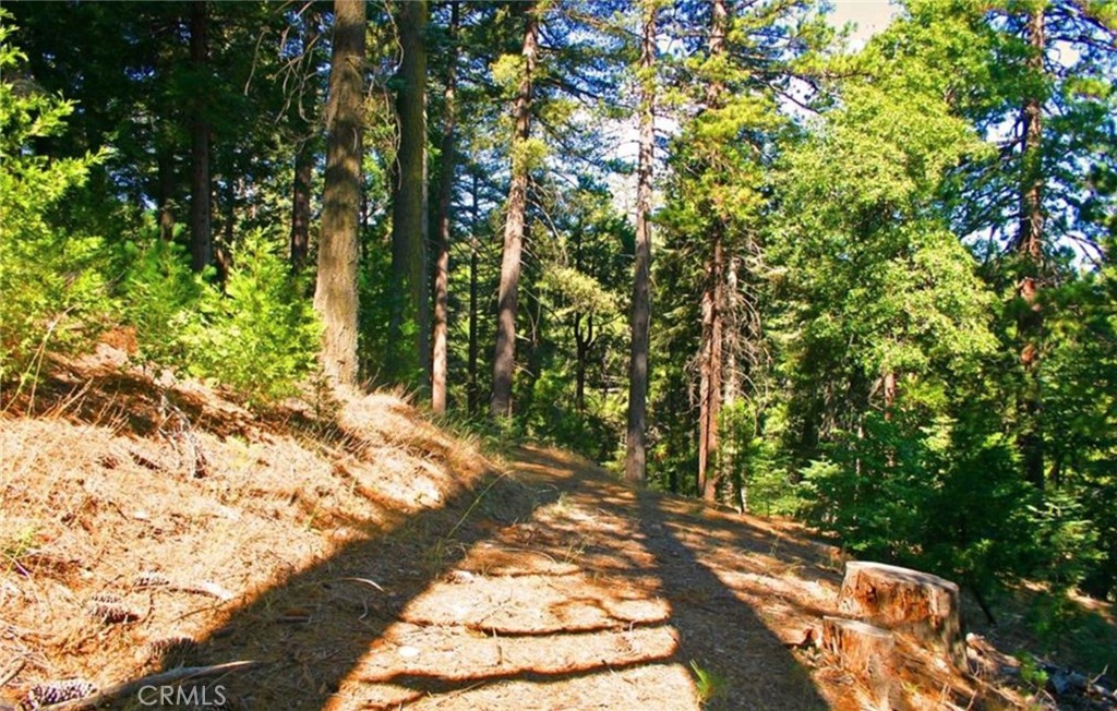 MLS #IG25271978 image #12