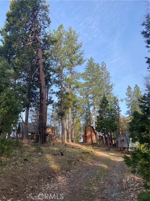 Detail Gallery Image 4 of 4 For 14872 Queenan, Dobbins,  CA 95935 - 2 Beds | 1/1 Baths