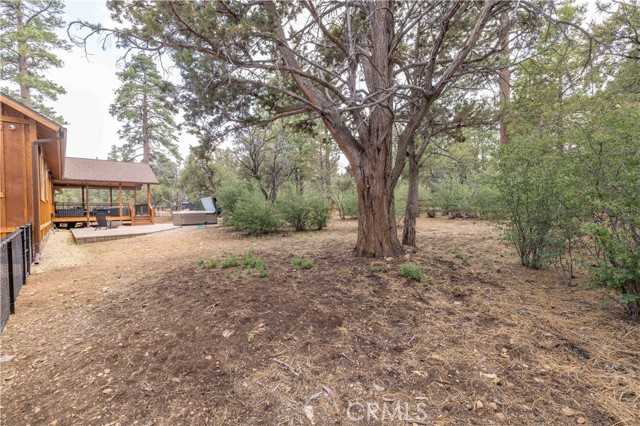 Image 43 of 44 For 1635 Shenandoah Way
