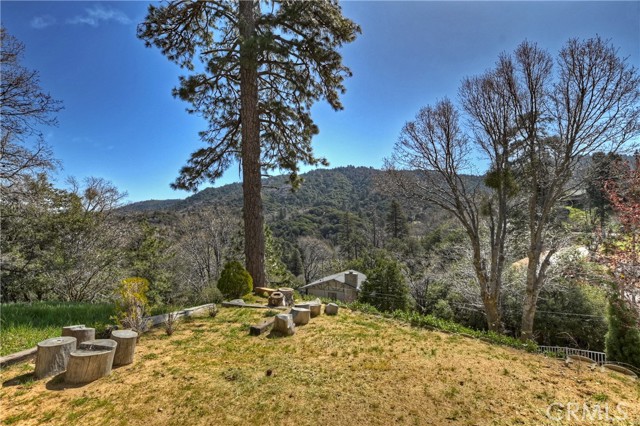 Detail Gallery Image 10 of 52 For 24755 Edelweiss Dr, Crestline,  CA 92325 - 2 Beds | 2/1 Baths