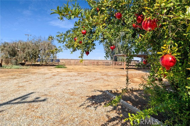 Detail Gallery Image 53 of 69 For 34378 7th Standard, Bakersfield,  CA 93314 - 4 Beds | 3 Baths