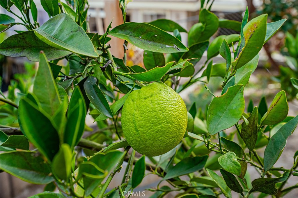 MLS #SW25279710 image #40