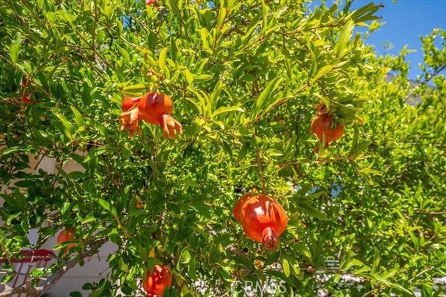 Detail Gallery Image 63 of 73 For 15125 N Kobbuntie Ct, Red Bluff,  CA 96080 - 5 Beds | 3/1 Baths