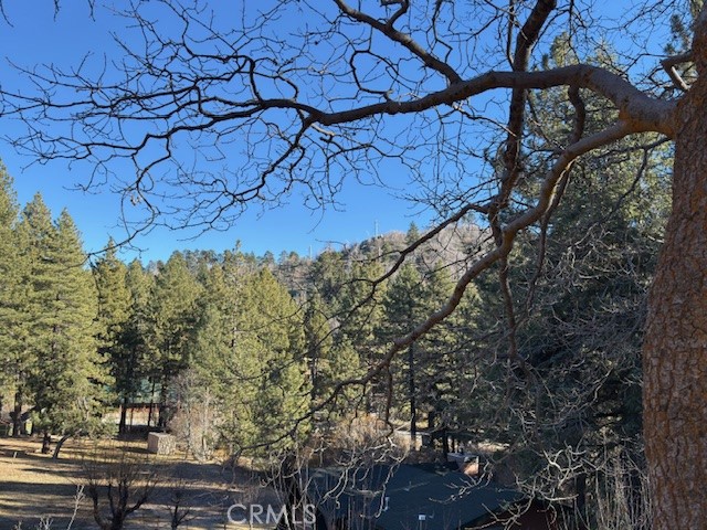 Detail Gallery Image 35 of 40 For 631 Oak Knoll Dr, Green Valley Lake,  CA 92341 - 1 Beds | 1 Baths