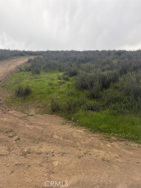 Front Image Thumbnail for CRPW26024051