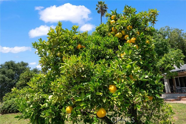 1560 Trellis Lane, Escondido, California 92026, 3 Bedrooms Bedrooms, ,3 BathroomsBathrooms,Residential,For Sale,Trellis Lane,EV24122644