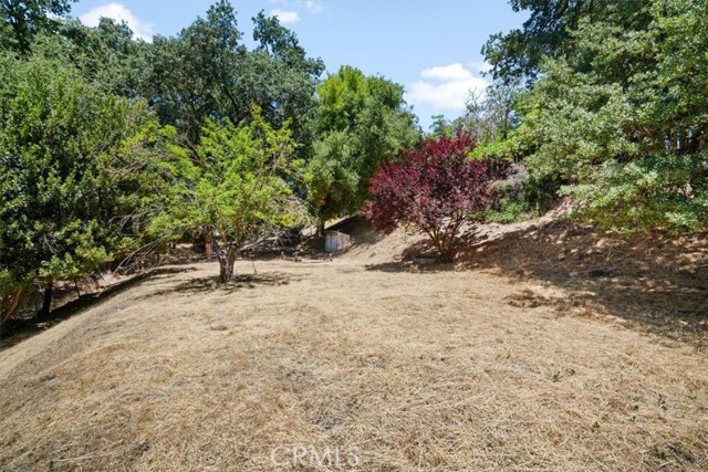 7480 Cortina Avenue, Atascadero CA: https://media.crmls.org/medias/7e1406f3-16f5-42a2-8539-f6db3199e206.jpg