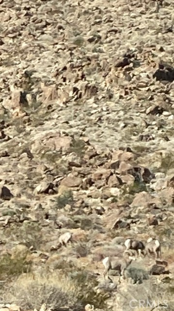 MLS #JT24225370 image #68