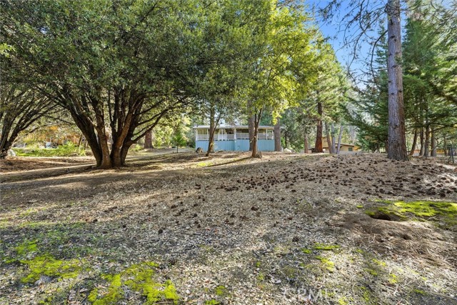 50740 Chu Ranch Road, Oakhurst CA: https://media.crmls.org/medias/7e1abd2b-67d6-42e1-adc5-2b7519c413fb.jpg