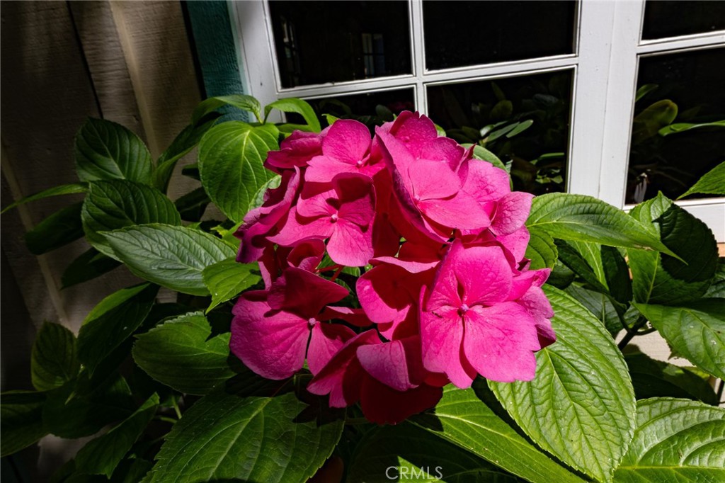 https://media.crmls.org/medias/7e1b4b43-f261-4e1c-b056-ab899857f932.jpg?preset=X-Large