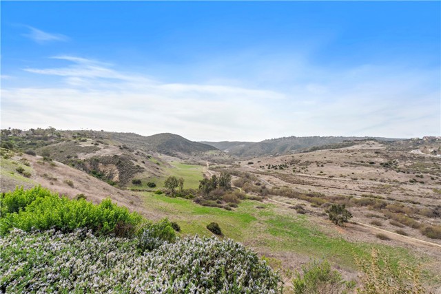 Detail Gallery Image 44 of 50 For 28702 Sea Point, Laguna Niguel,  CA 92677 - 5 Beds | 4/1 Baths