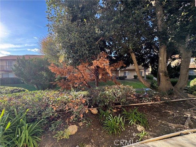 Detail Gallery Image 4 of 11 For 1365 Crafton #1089,  Mentone,  CA 92359 - 1 Beds | 1 Baths