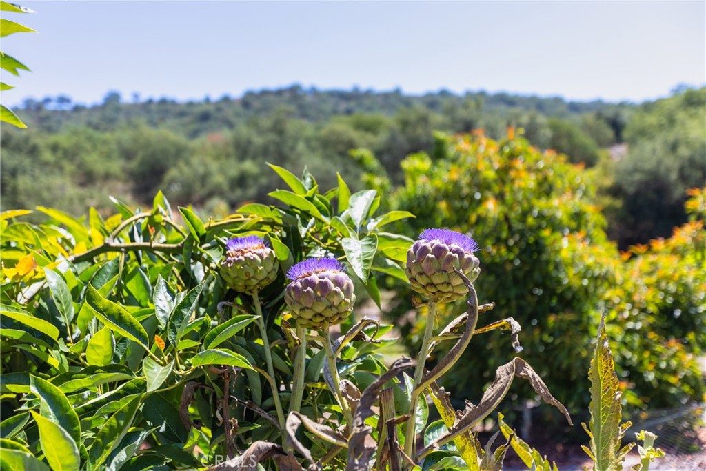 https://media.crmls.org/medias/7e213fbc-84bb-496c-9e25-90a48f20575d.jpg?preset=X-Large