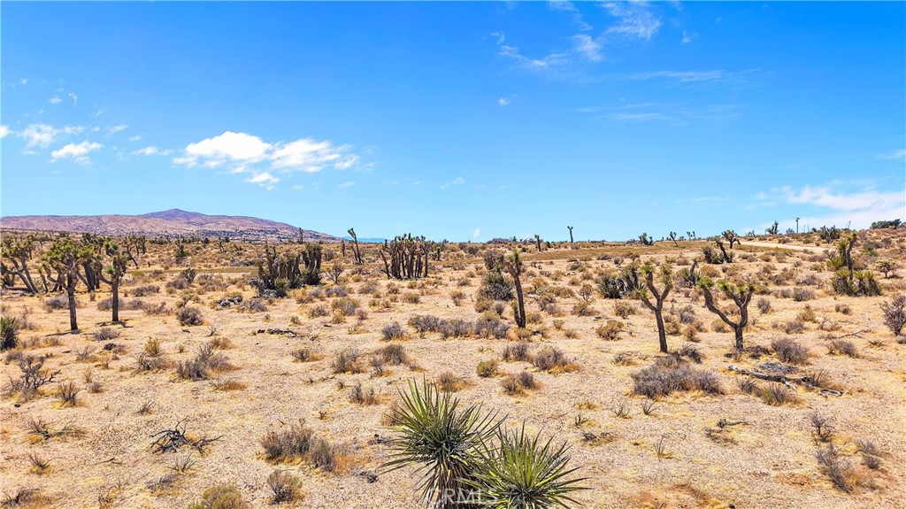 MLS #HD25105008 image #10