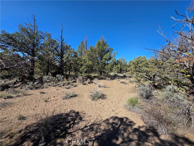 Detail Gallery Image 6 of 20 For 39 Blk 8 Lot 39 Katrina Dr Dr, Montague,  CA 96064 - – Beds | – Baths