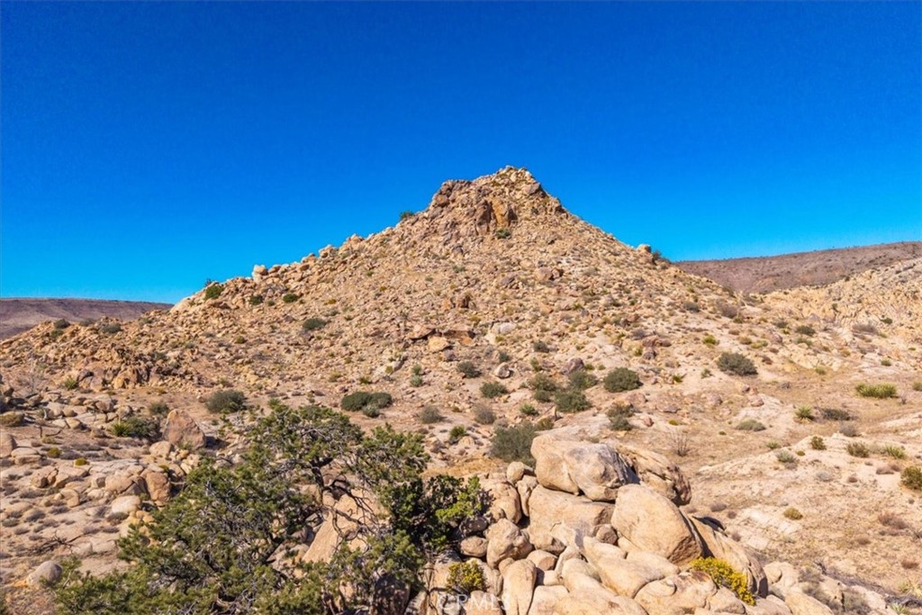 MLS #JT25250010 image #17