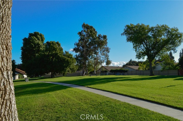 10060 Hillsborough Lane, Riverside CA: https://media.crmls.org/medias/7e3a7be4-97de-4e2a-b8fb-453173484fdd.jpg