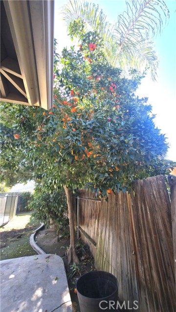 Detail Gallery Image 26 of 28 For 9909 Mona Lisa Ln, Bakersfield,  CA 93312 - 3 Beds | 2 Baths