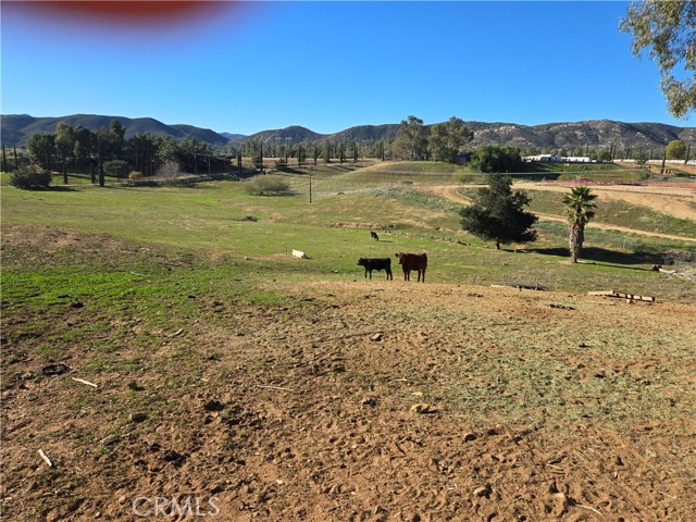 Detail Gallery Image 48 of 49 For 43145 Bob Cat, Banning,  CA 92220 - 5 Beds | 4 Baths