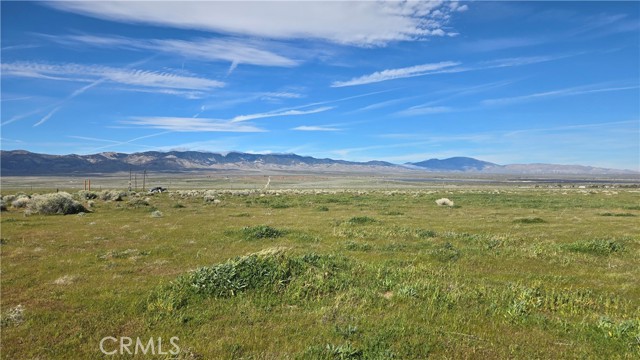 Detail Gallery Image 20 of 36 For 0 Vicinity Ave B12 & 265th St W, –,  CA 93536 - – Beds | – Baths