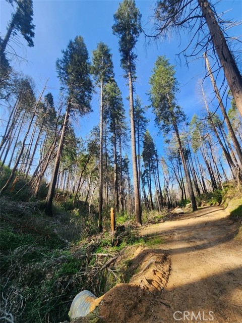 Detail Gallery Image 40 of 44 For 11691 Oro Quincy Hwy, Berry Creek,  CA 95916 - 2 Beds | 1 Baths