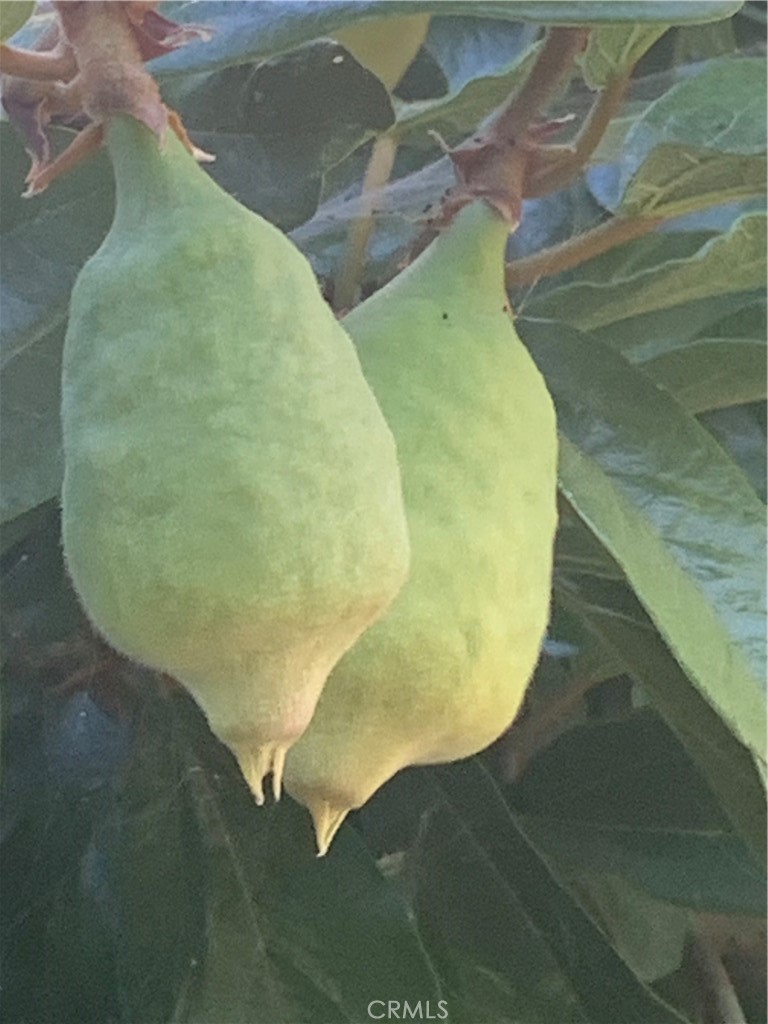 https://media.crmls.org/medias/7e481a7a-4906-4893-b3f2-270b2e20a631.jpg?preset=X-Large