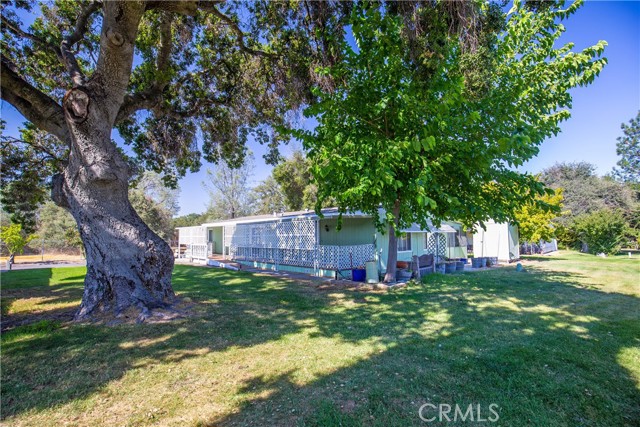 Large oak trees instead of adjacent homes
