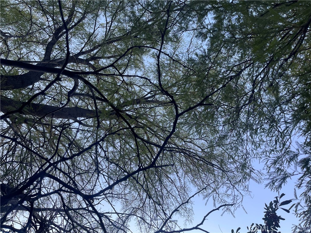 MLS #JT25223731 image #5