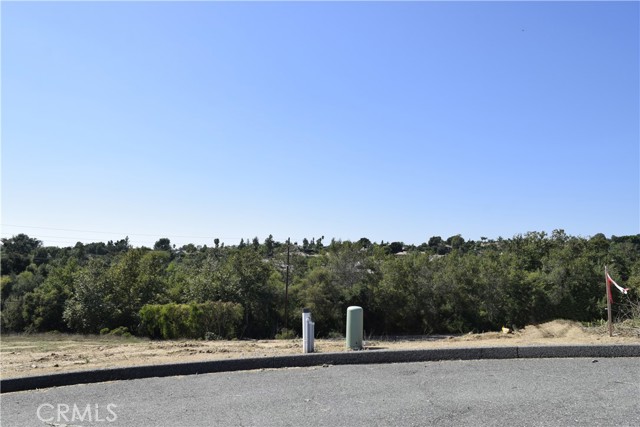 0 Camino De Nog Way, Fallbrook, California 92028, ,Land,For Sale,0 Camino De Nog Way,CRSW23172013