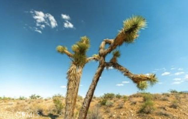 Detail Gallery Image 18 of 21 For 10 171st, Palmdale,  CA 93591 - – Beds | – Baths