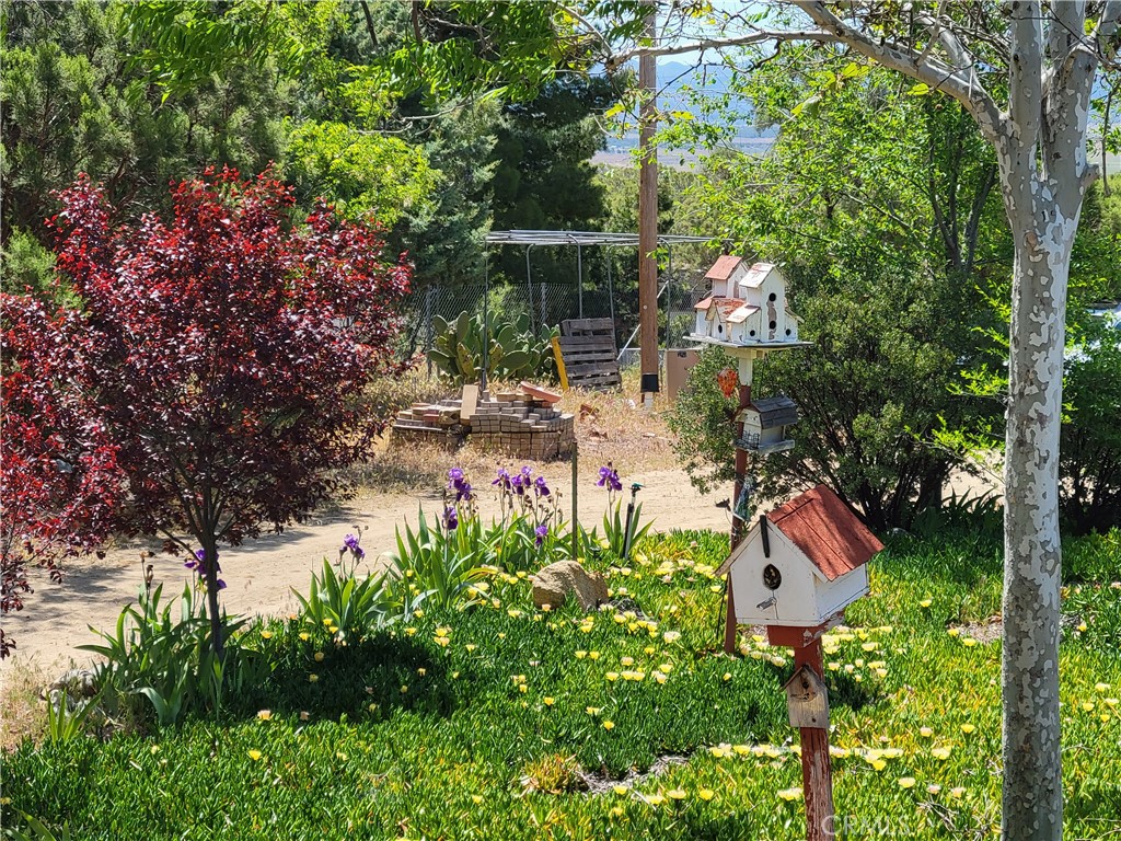 56400 Lubo Trail