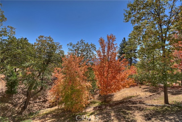 Detail Gallery Image 11 of 75 For 22 Holly Dr, Running Springs,  CA 92382 - 3 Beds | 2/1 Baths