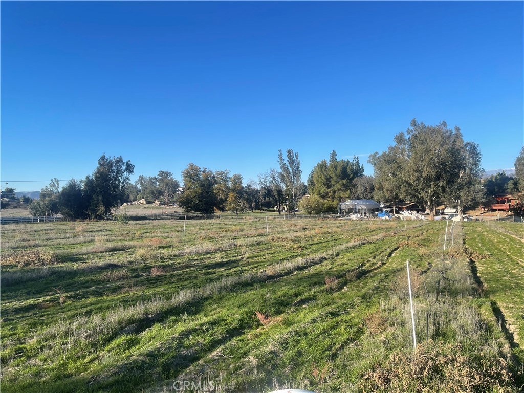 MLS #WS25276306 image #10