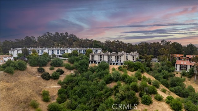 4239 Via Arbolada, Los Angeles CA: https://media.crmls.org/medias/7e5e0725-2870-4786-b5ce-5b8a06bf2ff0.jpg